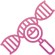 Blastocyst Culture